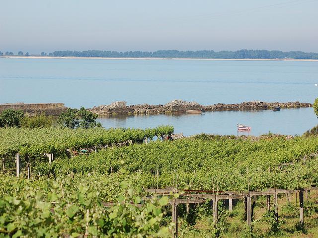 D.O. RIAS BAIXAS